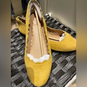 Violet and Red-Flats